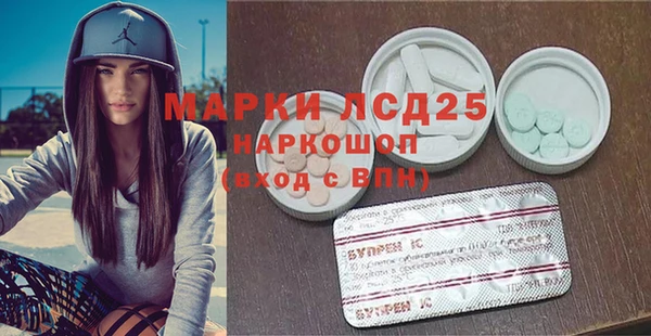 PSILOCYBIN Бородино