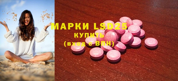 PSILOCYBIN Бородино