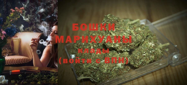 PSILOCYBIN Бородино