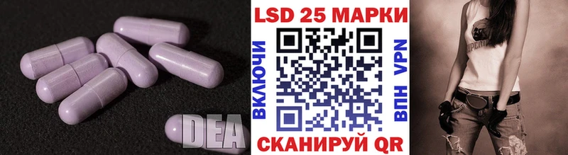 как найти   Зима  Лсд 25 экстази ecstasy 