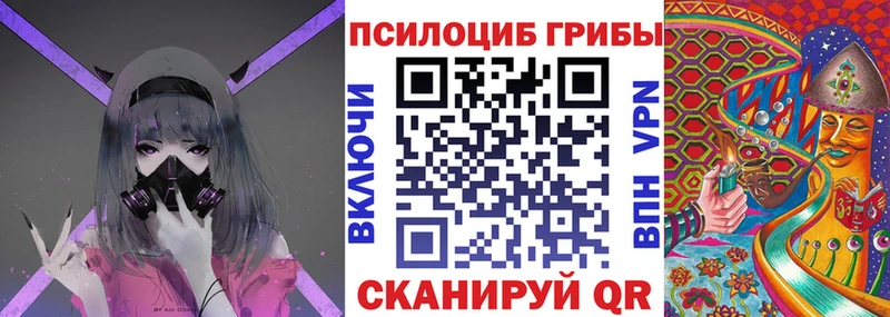 купить наркоту  Зима  Галлюциногенные грибы Cubensis 